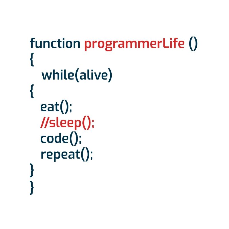 Programmeur informatique Codeurs Software Engineers Gift
