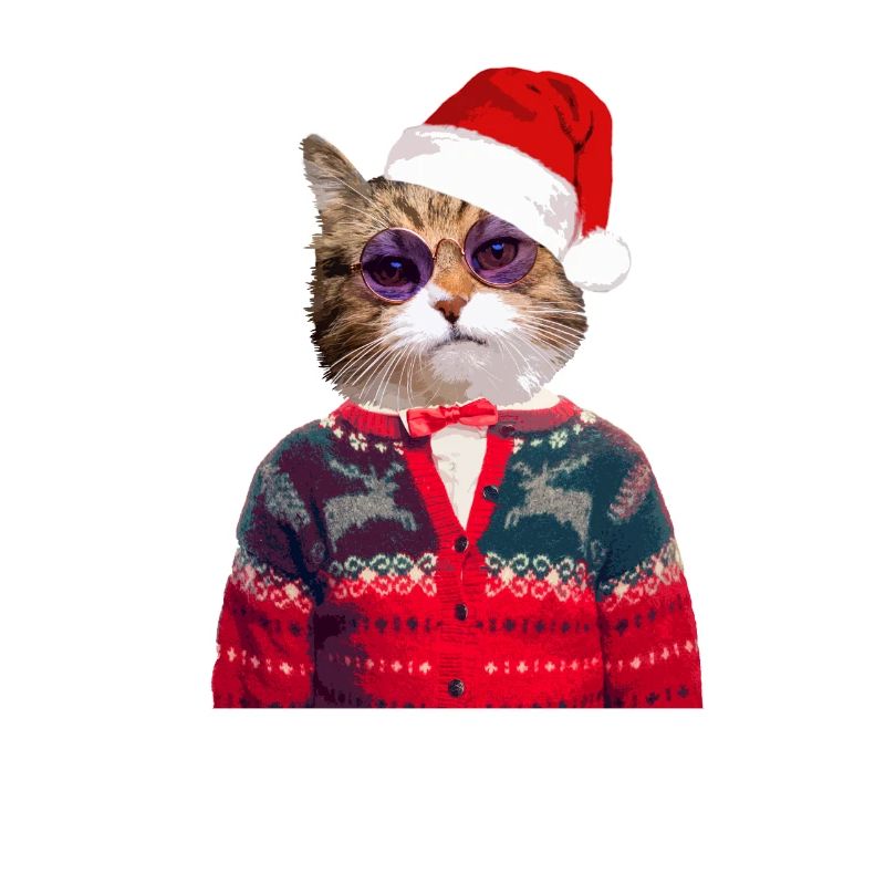 Chat dans le pull de Noël laid