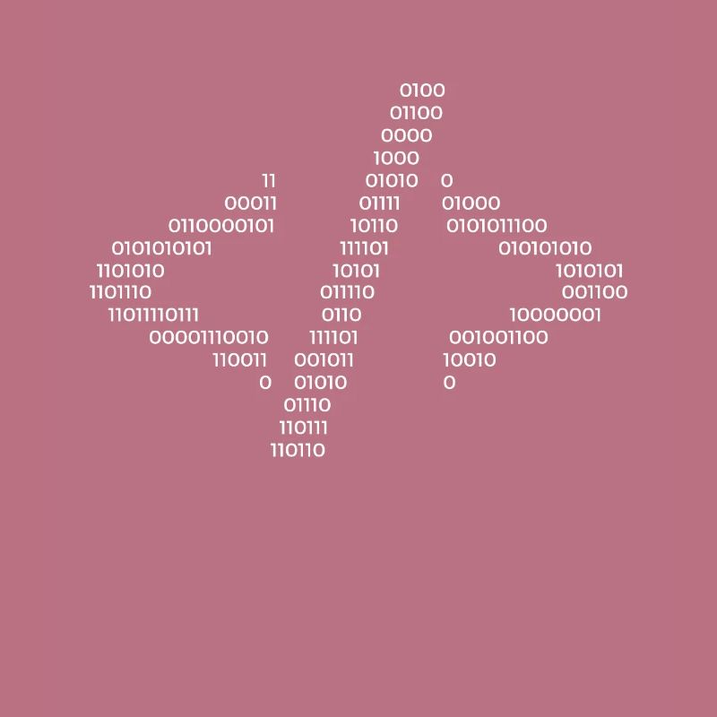 Hacker Hacking Code Computer Java Spruch Geschenk