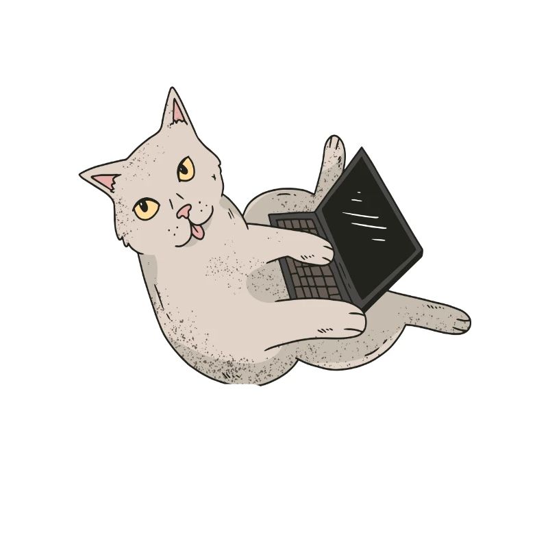 Programmierer Programmieren Informatiker
