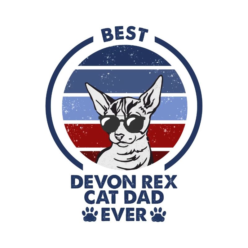 Papa chat - Devon Rex Chat