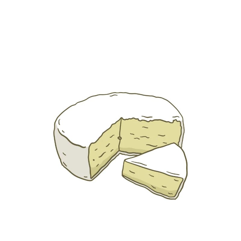 Snack Cheese Lover Cheese Gift
