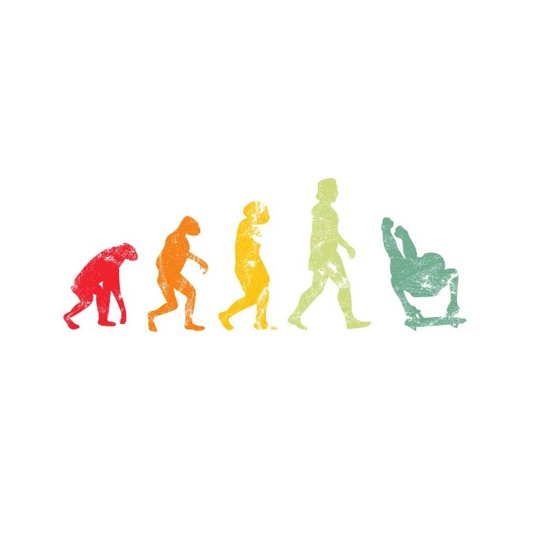 Evolution Skeleton