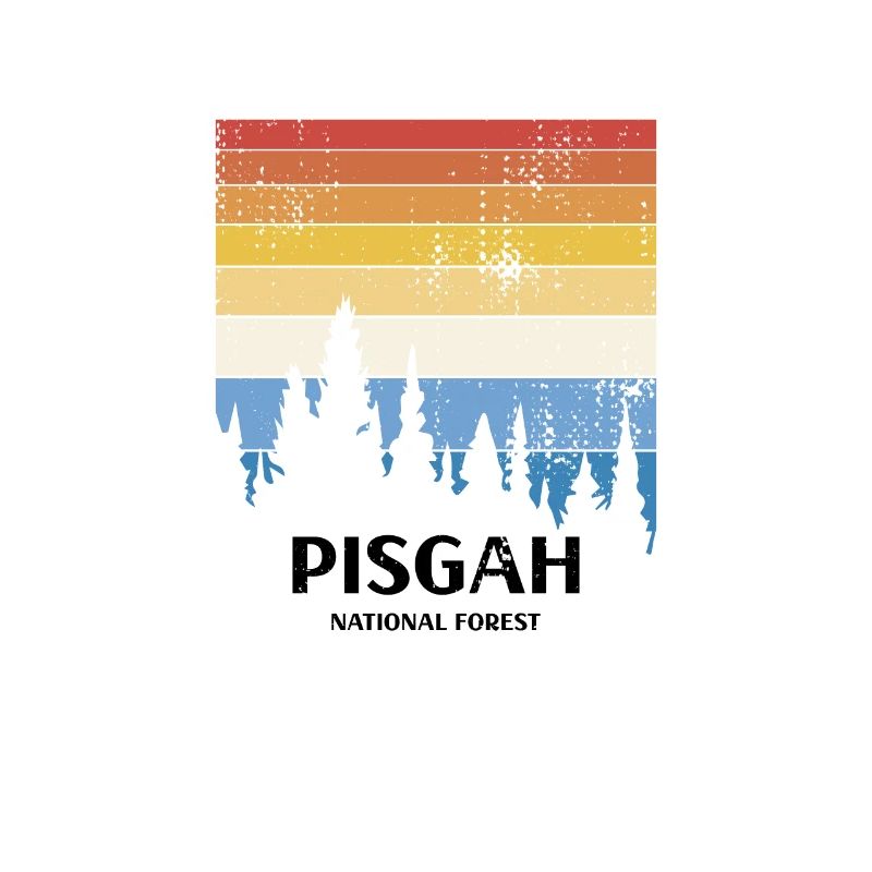 Forêt nationale de Pisgah