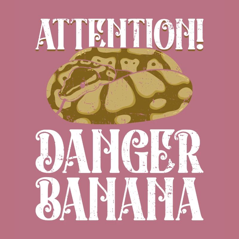 Königspython Banana Königspython Schlange