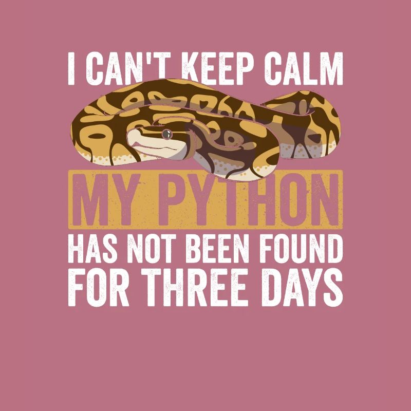 Königspython Bananenkugel Python