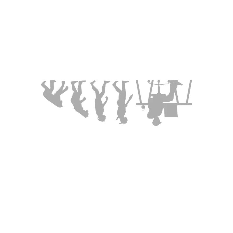 Evolution Funny Programmer Software Developer