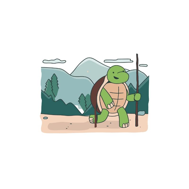 Turtle Owner Gift Turtle Lover