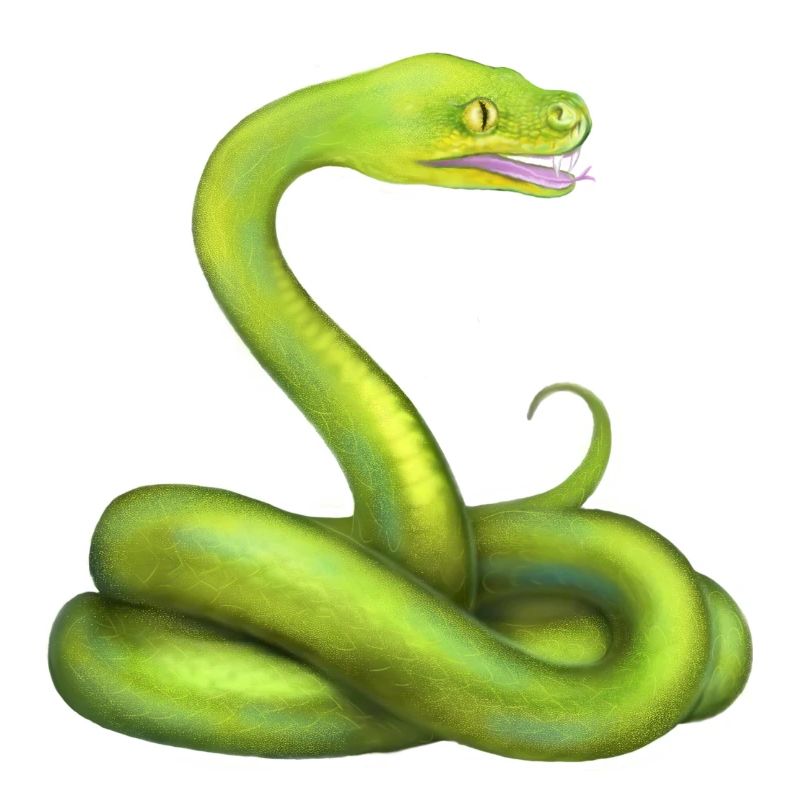 L’animal de la jungle du serpent python vert