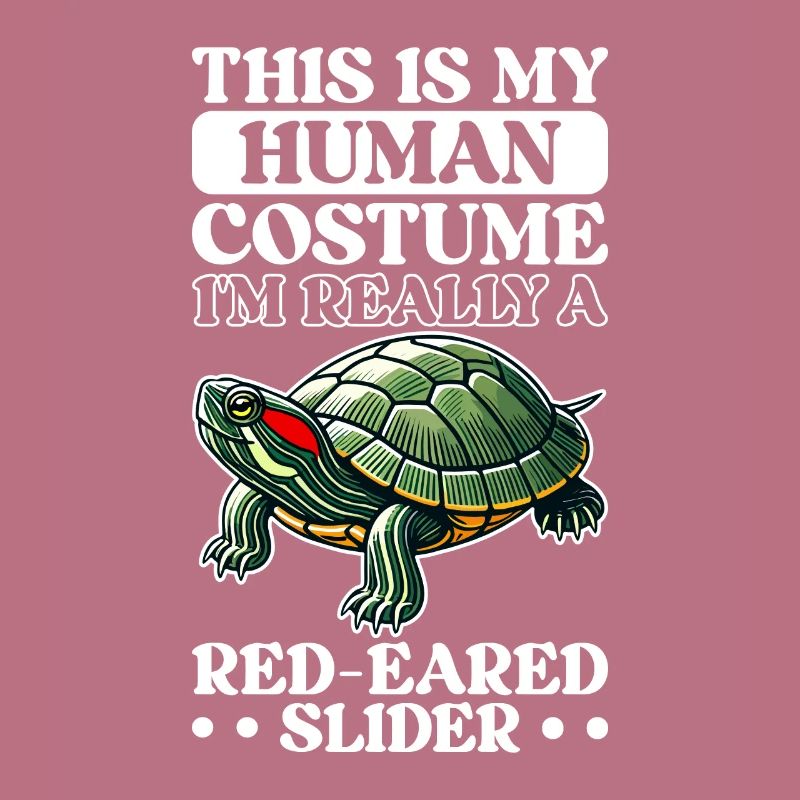 Turtle Red-eared Turtle