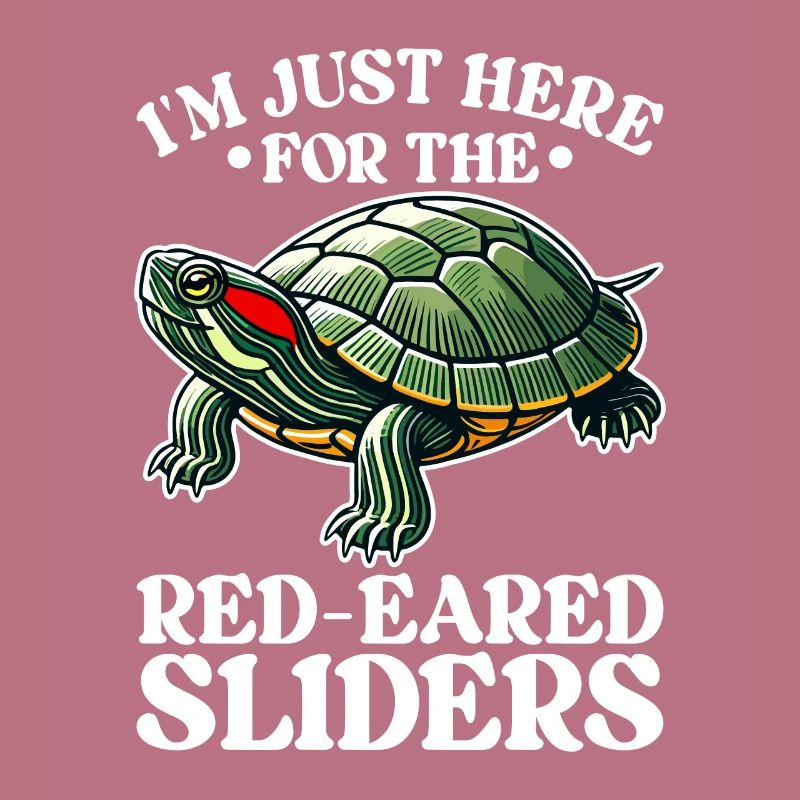 Turtle Red-eared Turtle