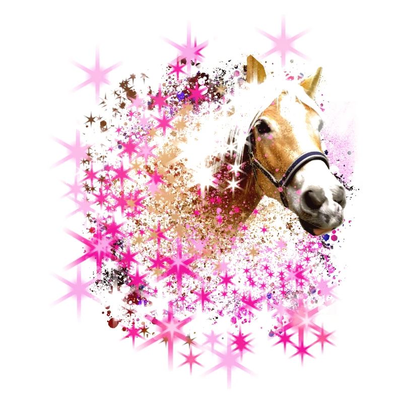 Cheval,Haflinger, Graffiti, Peinture,Chevaux,Étoiles