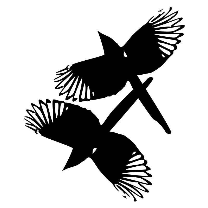 oiseaux de pie