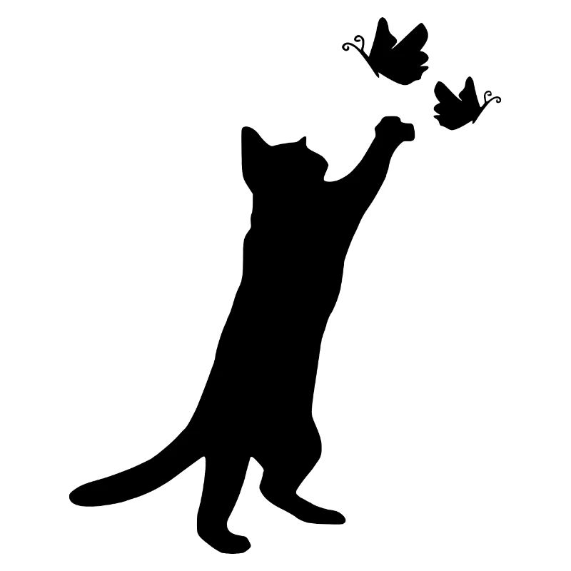 chat chat chat jouer chatte mignon chat bébé chat