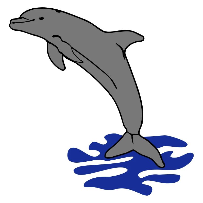 springender Delphin Delfin jumping dolphin