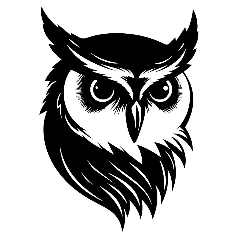 Eule Eulen Vogel Vögel