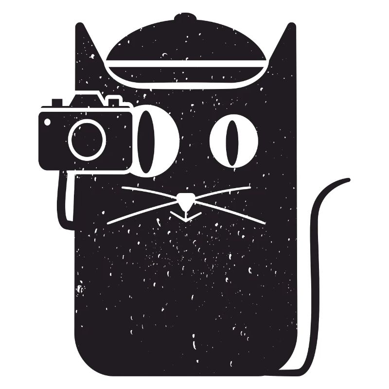Cool simple CAT AND CAMERA