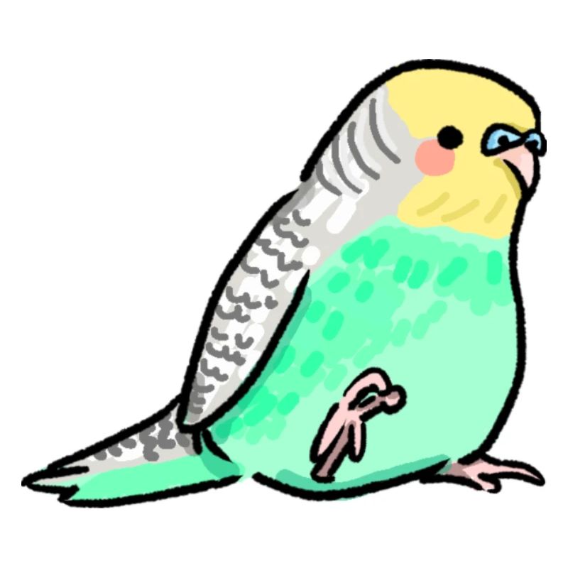 mignon budghi