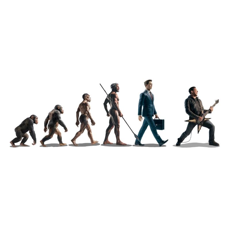 Evolution Guitariste 06 2024 4