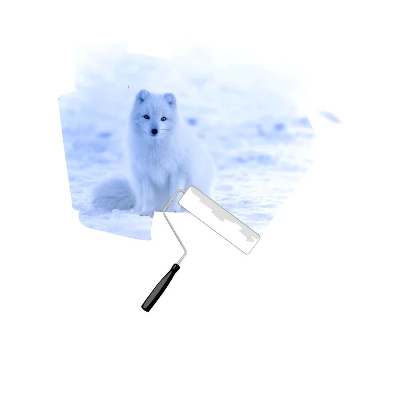 Farbroller Polarfuchs