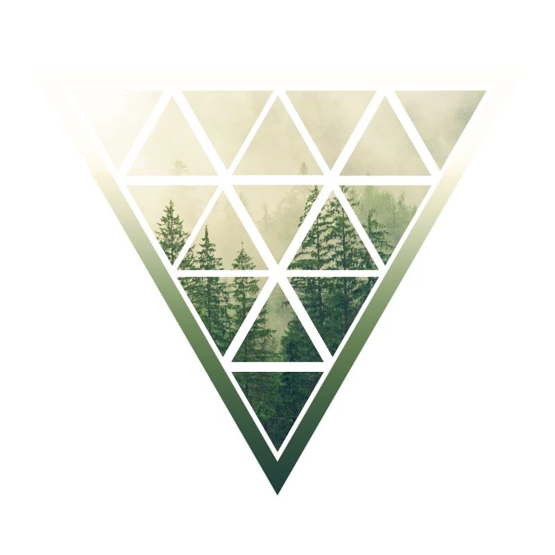 Forêt de triangle