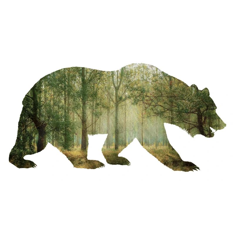 Bär Wald Bäume Geschenk Geschenkidee