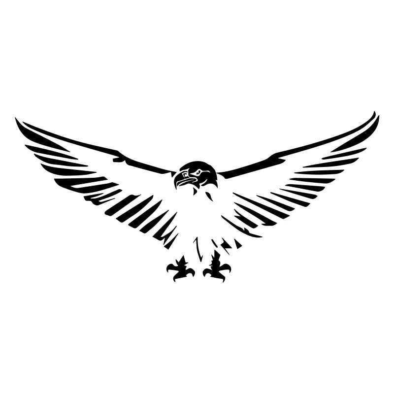 Flying eagle opening its wings stylized simple