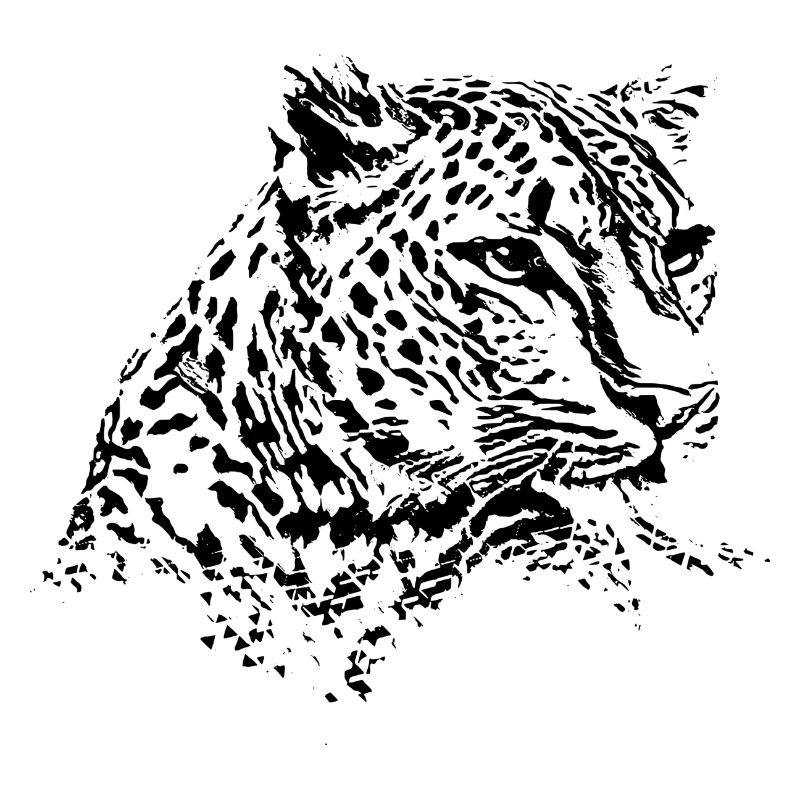 leopardo