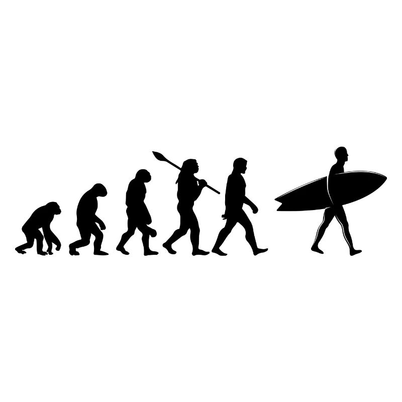 Surfen Evolution