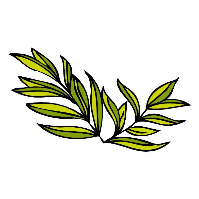leaf plug leaves
