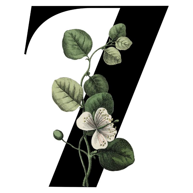 Nummer 7 Blumengrün -7. Blumengeburtstag