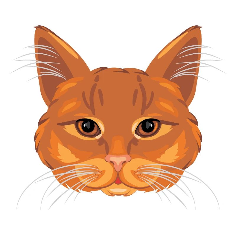 Ginger cat head