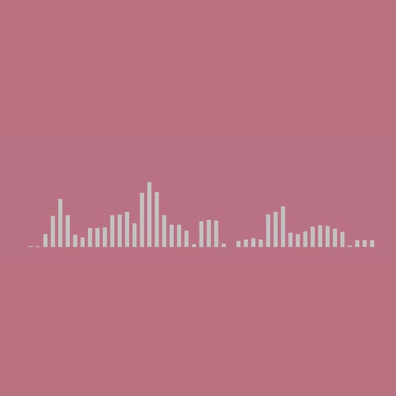Visualizer