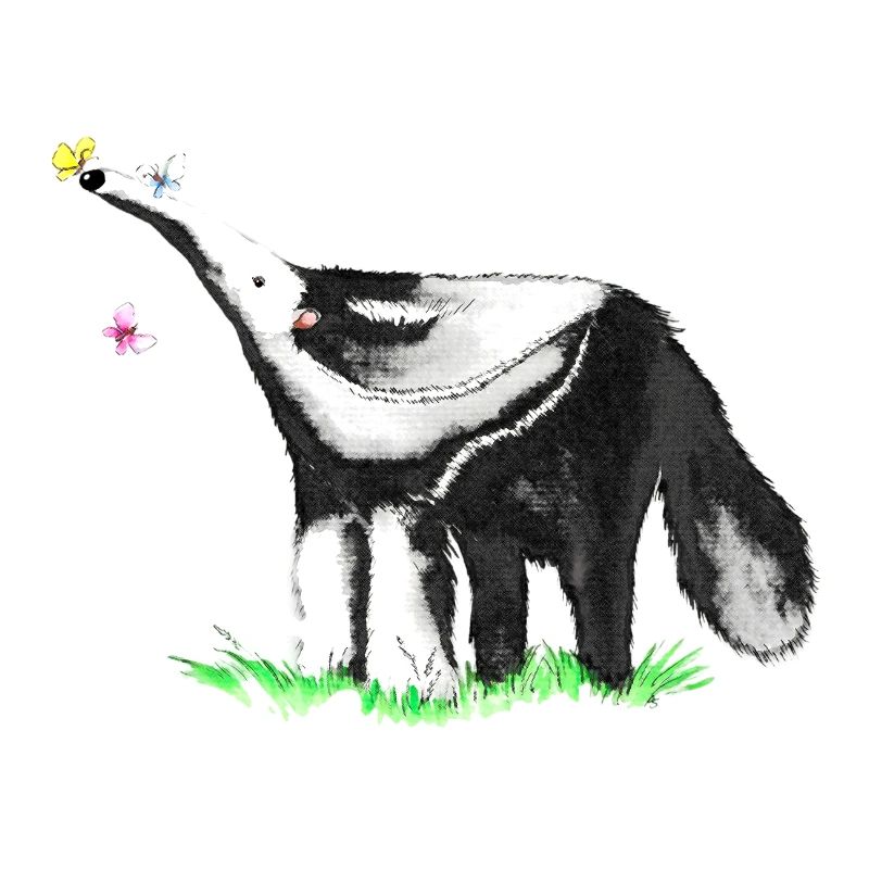 Ant-eater
