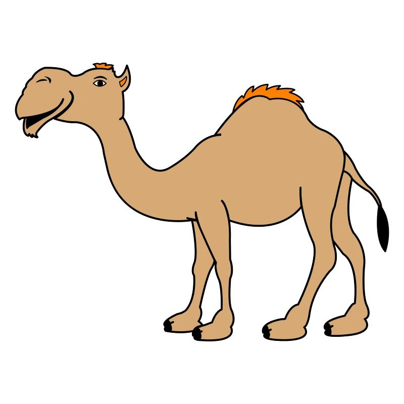 Kamel
