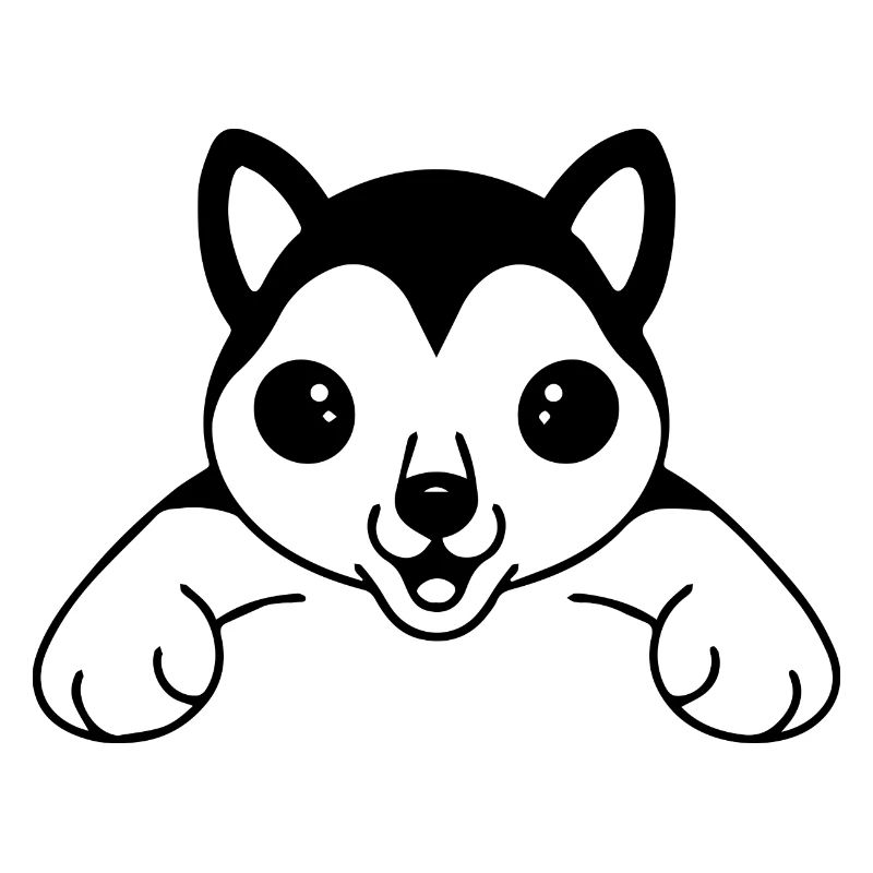 DOG CAT PET