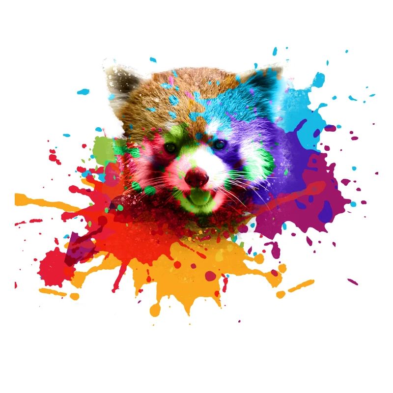 Roter panda ,Graffiti, Malerei,pandabär, bär, bunt