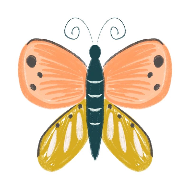 Papillon