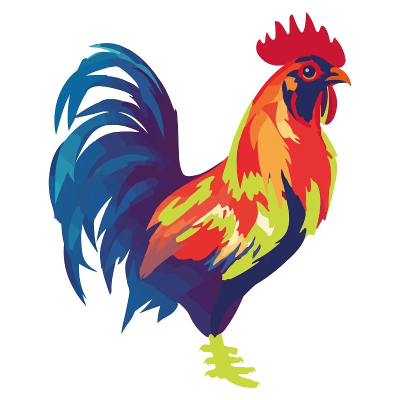 Rooster