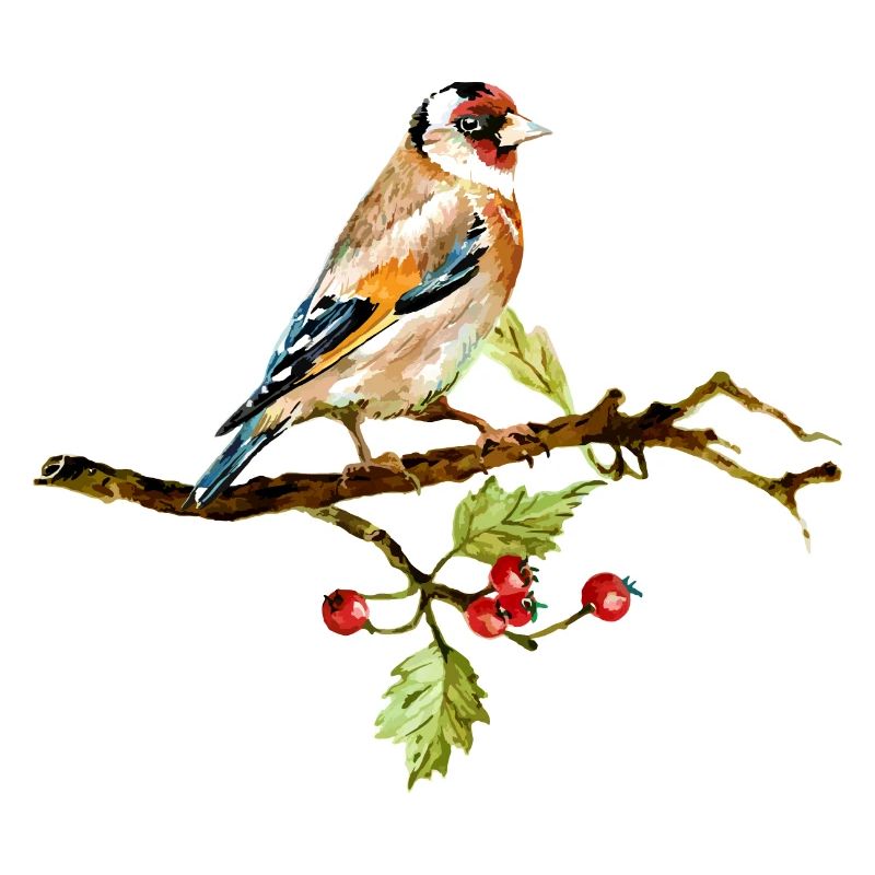 Bunter Vogel