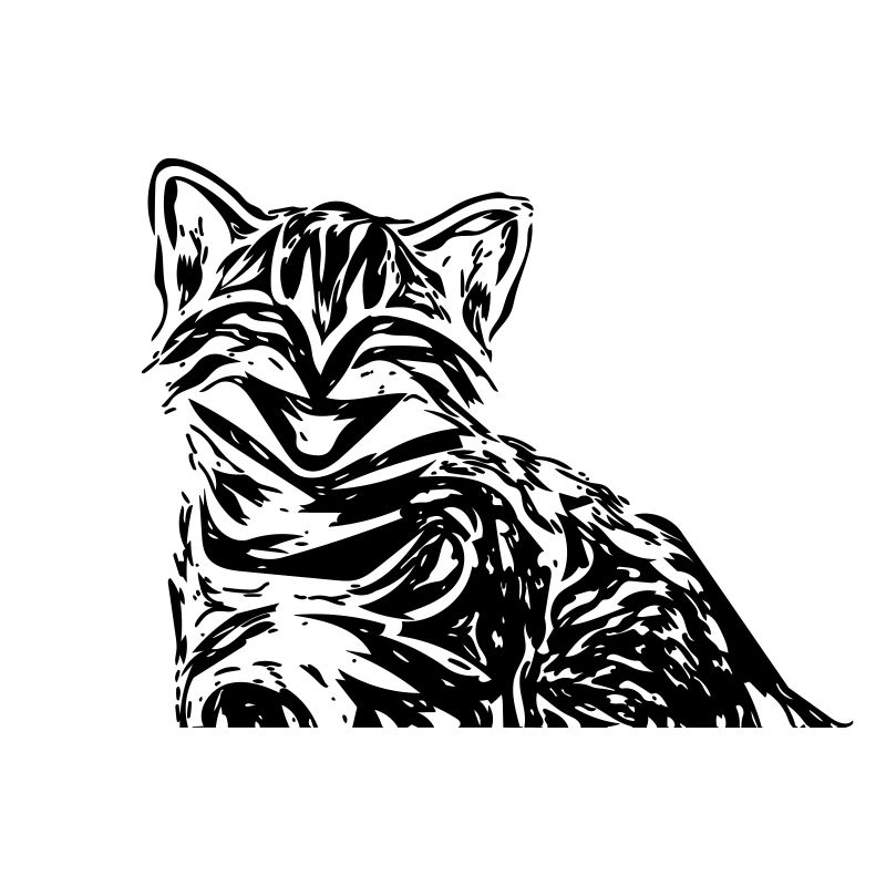 chat