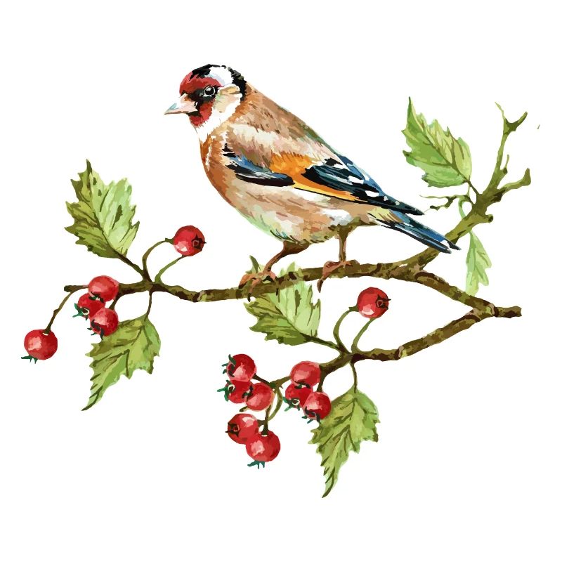 Bunter Vogel