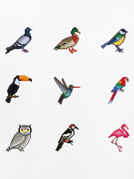 Vögel