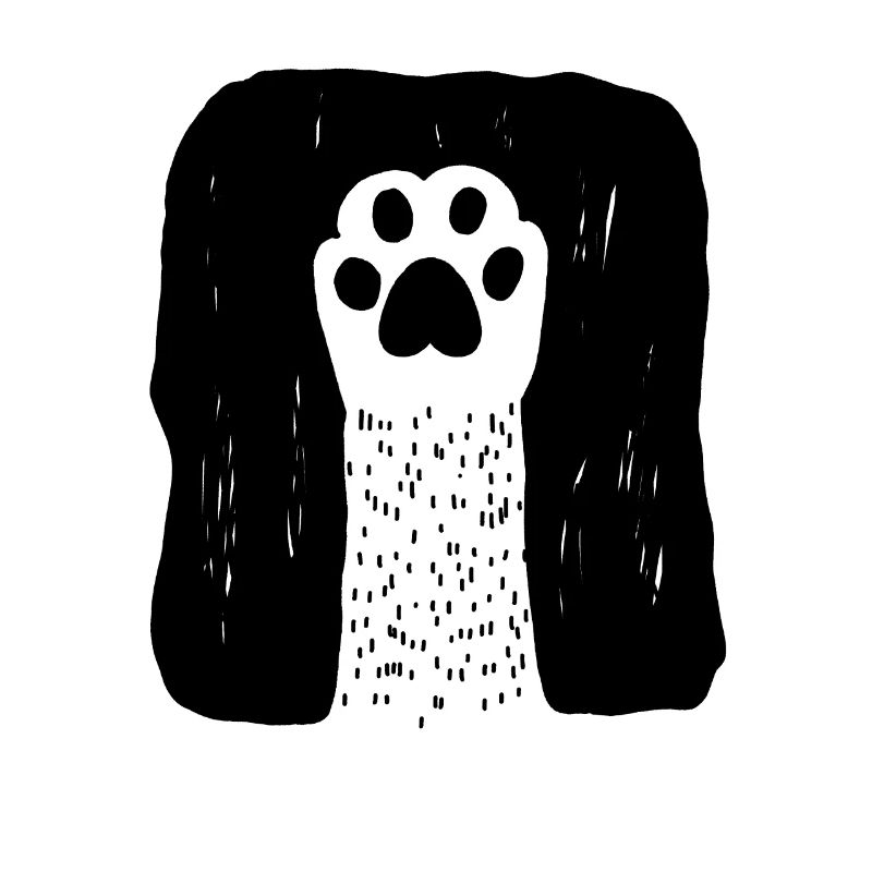 Douce patte de chat