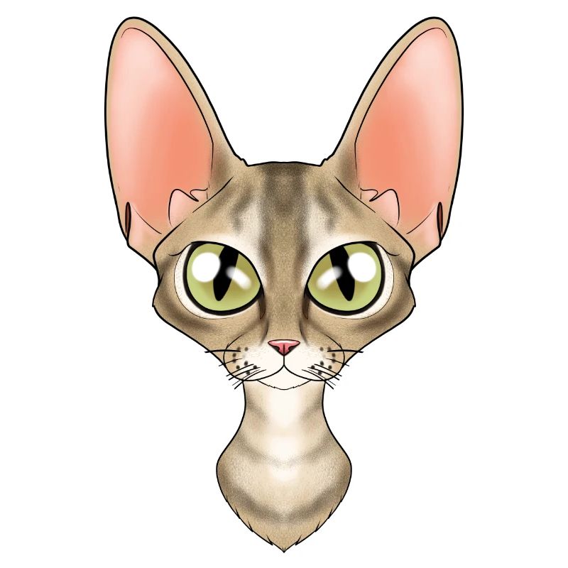 Cat Lover I Cat Face I Devon Rex Cat