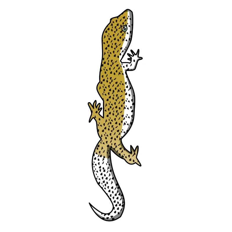 Eidechse - Gecko - Reptil - Geschenk - Echse