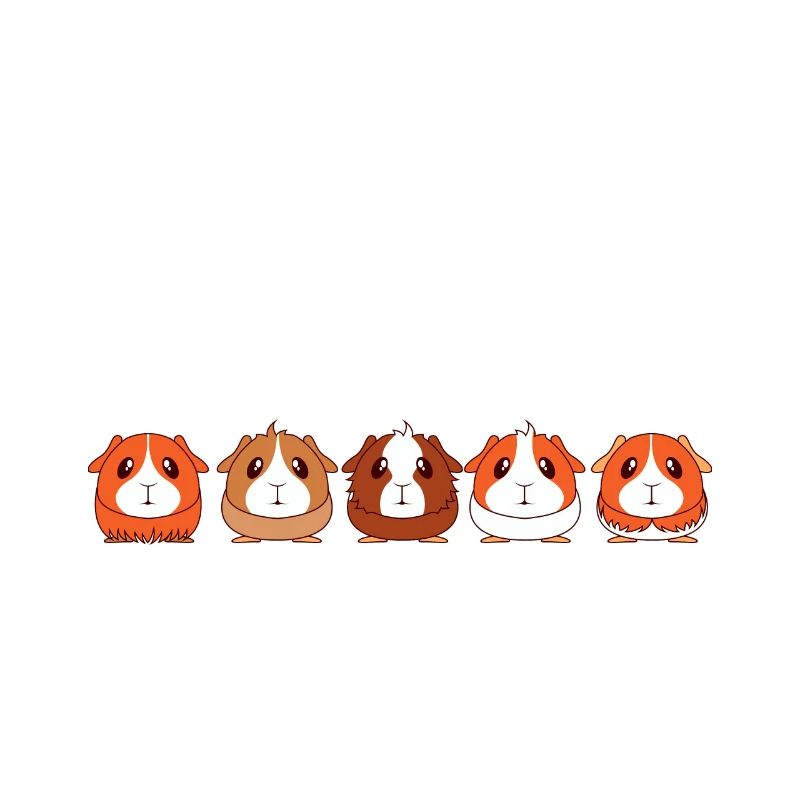 Cochons d'Inde