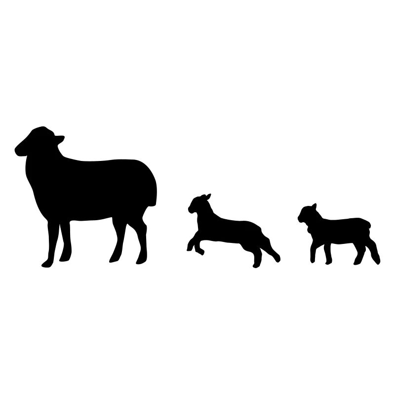 Schafe, Schaf, Lamm, Lämmer