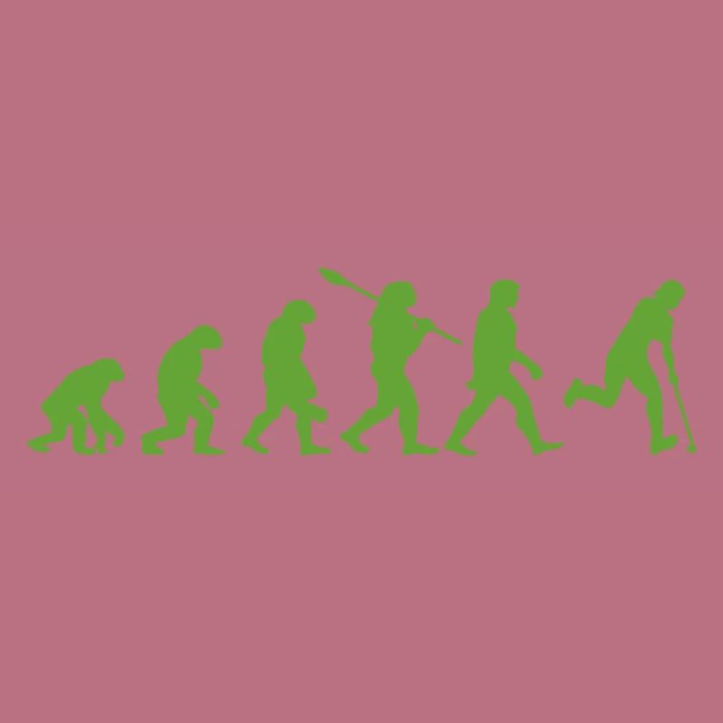 Evolution Hockey