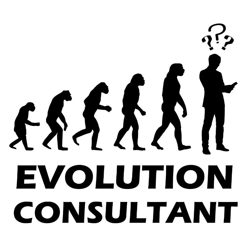 Evolution Consultant Consultant Auditor